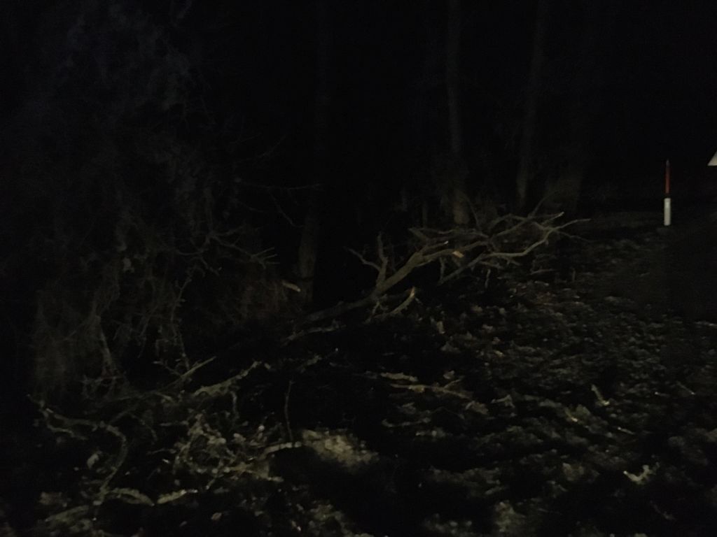image003
