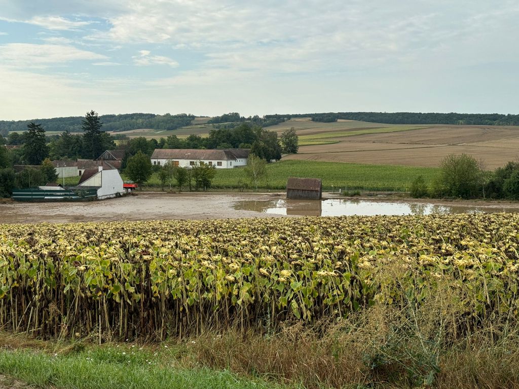 image013
